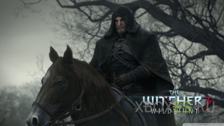 The Witcher 3 -    